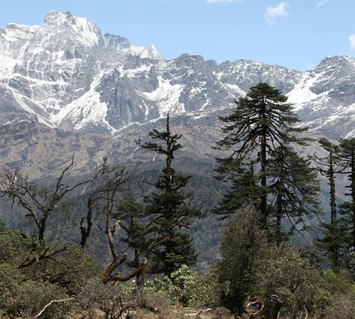 Sikkim Darjeeling Tour