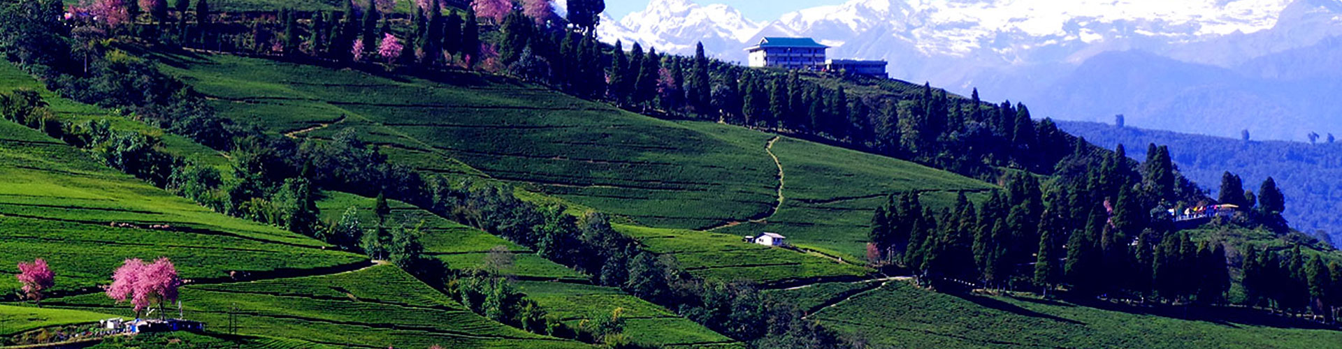 Stunning Sikkim Tour